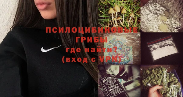 ешки Алзамай