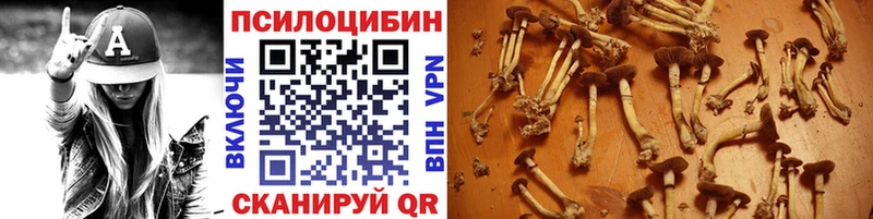 Галлюциногенные грибы Psilocybe  shop как зайти  Мамоново 